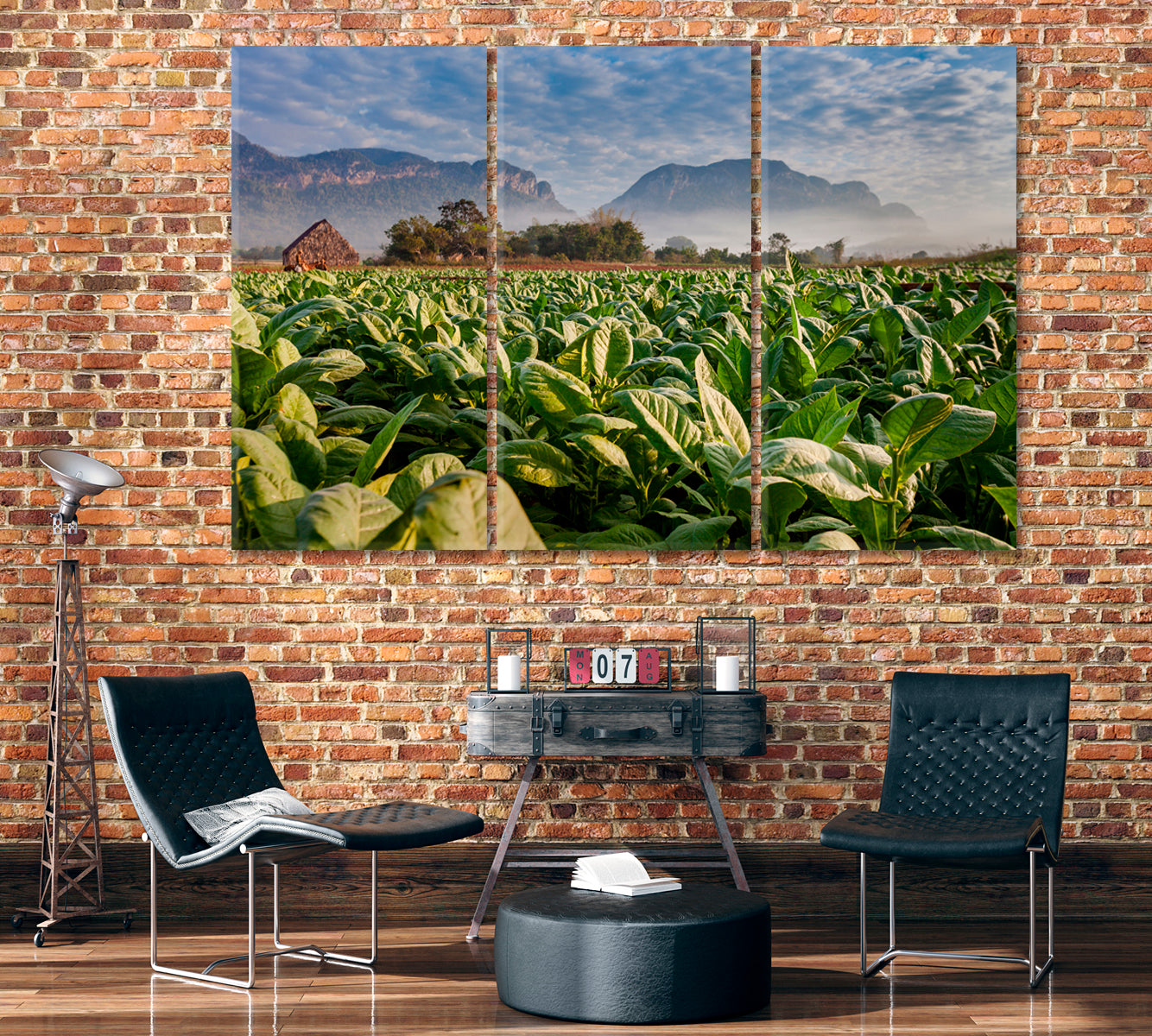 Tobacco Plantation Vinales Cuba Canvas Print ArtLexy 3 Panels 36"x24" inches 