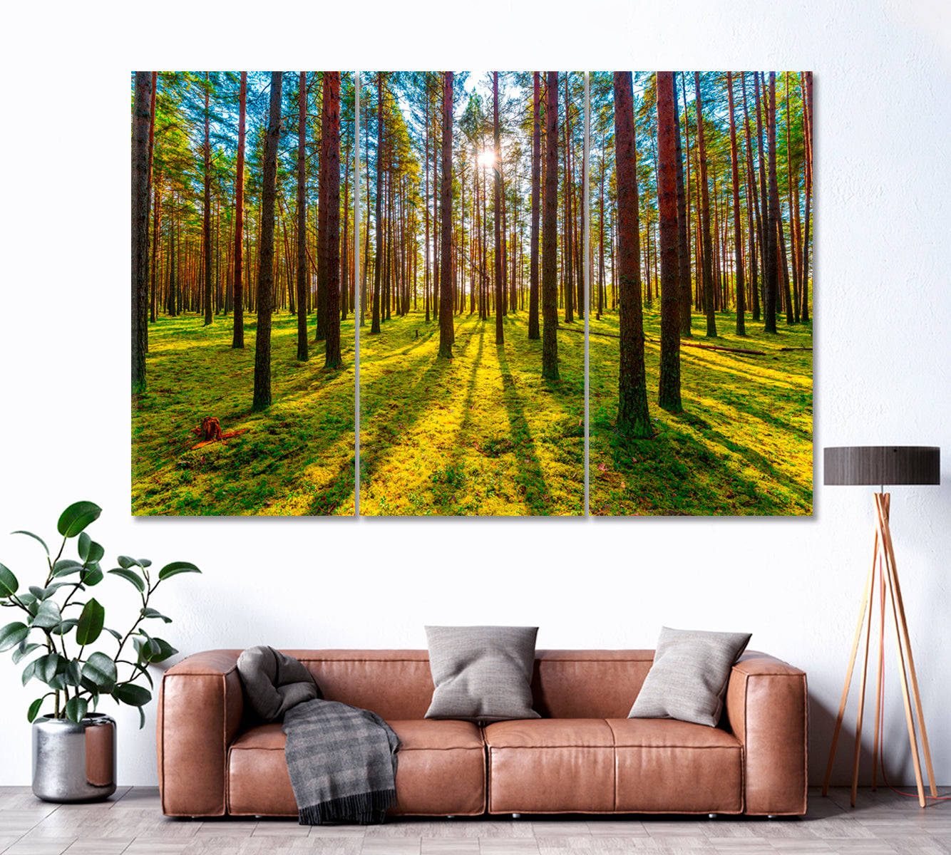 Sun Rays in Pine Forest Canvas Print ArtLexy 3 Panels 36"x24" inches 