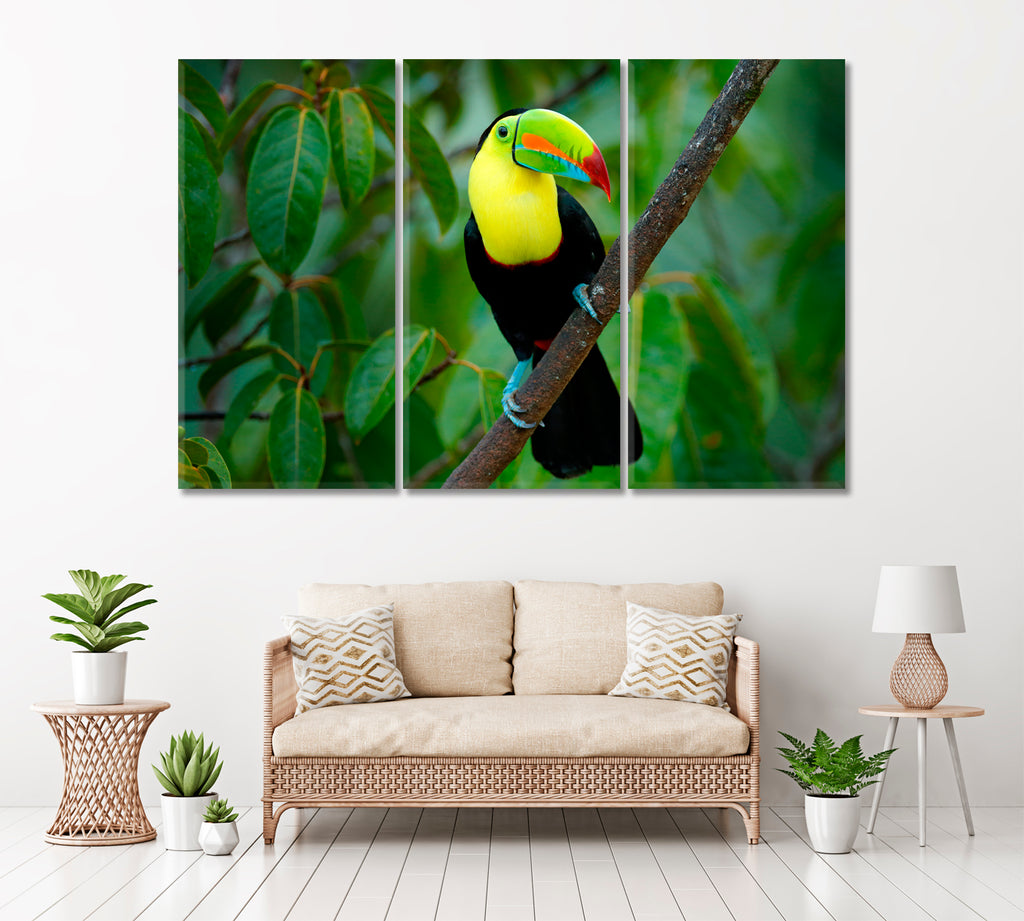 Keel-Billed Toucan Costa Rica Canvas Print ArtLexy 3 Panels 36"x24" inches 