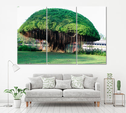 Old Banyan Tree Canvas Print ArtLexy 3 Panels 36"x24" inches 