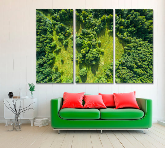 Aerial View of Beautiful Forest Canvas Print ArtLexy 3 Panels 36"x24" inches 