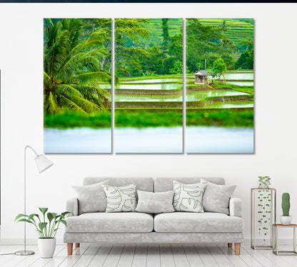 Jatiluwih Rice Terrace Fields Indonesia Canvas Print ArtLexy 3 Panels 36"x24" inches 