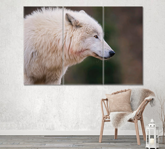Arctic Wolf Canvas Print ArtLexy 3 Panels 36"x24" inches 