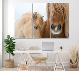 Portrait of Icelandic Horses Canvas Print ArtLexy 3 Panels 36"x24" inches 