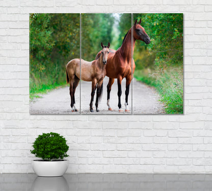 Akhal Teke Horses Mare and Foal Canvas Print ArtLexy 3 Panels 36"x24" inches 