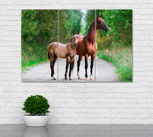 Akhal Teke Horses Mare and Foal Canvas Print ArtLexy 3 Panels 36"x24" inches 