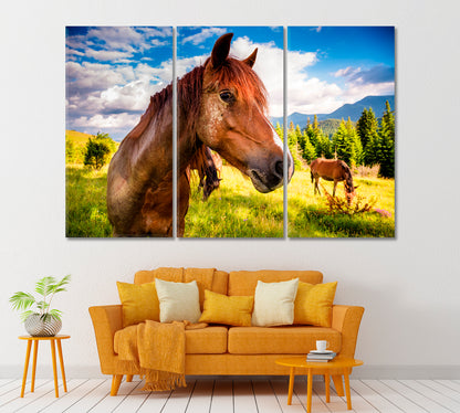 Horses Graze in Carpathian Mountains Ukraine Canvas Print ArtLexy 3 Panels 36"x24" inches 
