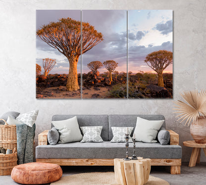 Quiver Tree Forest in Southern Namibia Canvas Print ArtLexy 3 Panels 36"x24" inches 
