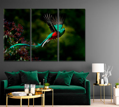 Resplendent Quetzal Bird Costa Rica Canvas Print ArtLexy 3 Panels 36"x24" inches 