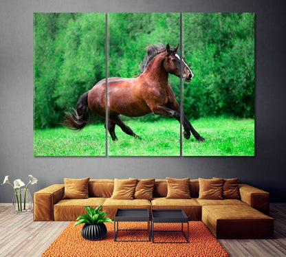 Chestnut Horse Runs Gallop on Summer Field Canvas Print ArtLexy 3 Panels 36"x24" inches 