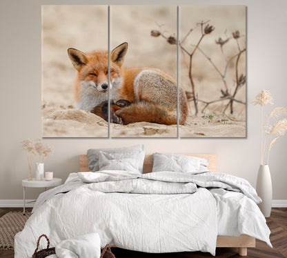 Wild Red Fox Canvas Print ArtLexy 3 Panels 36"x24" inches 