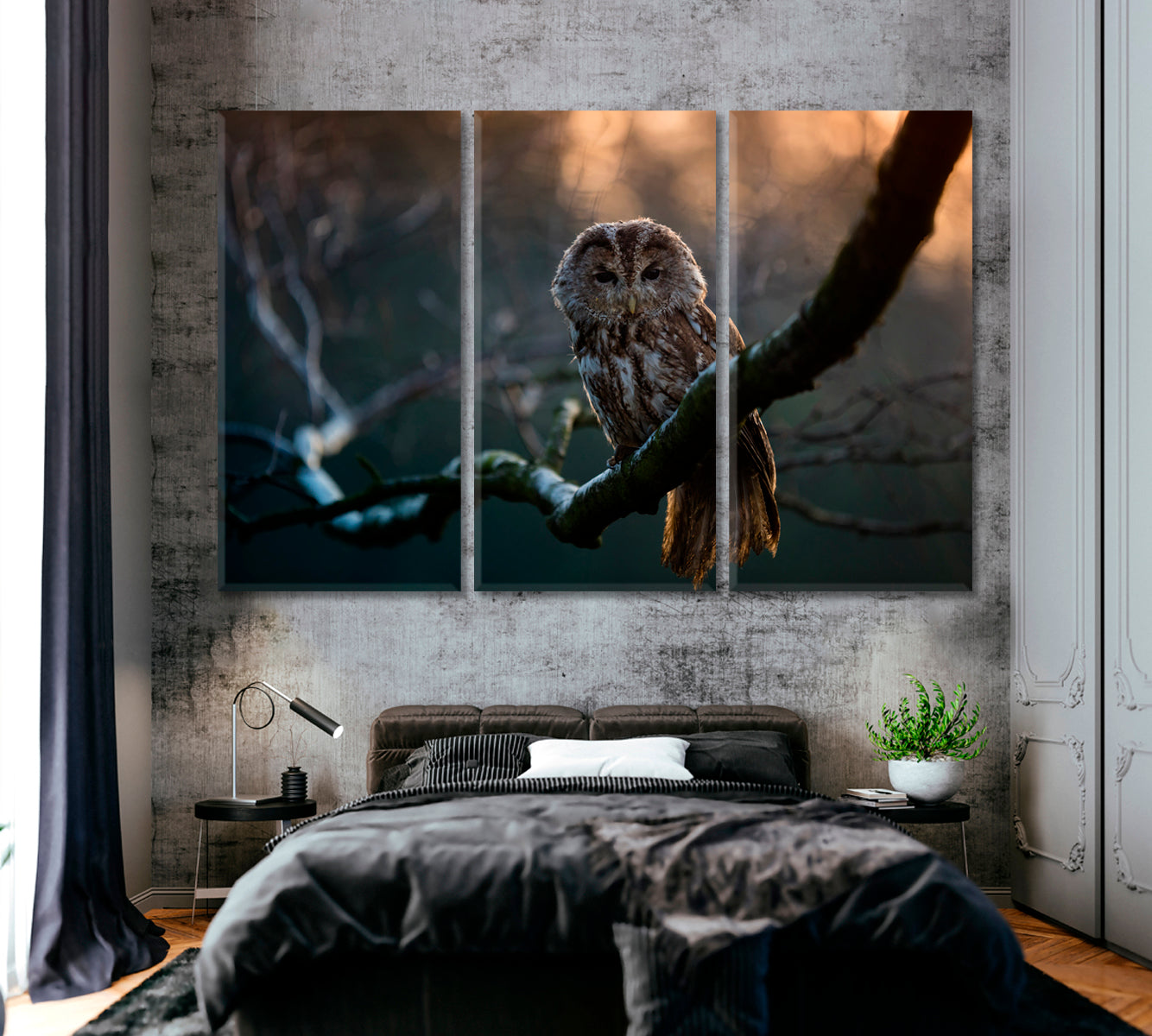 Tawny Owl Portrait Canvas Print ArtLexy   