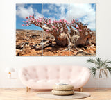 Bottle Tree in Bloom (Desert Rose) Socotra Island Canvas Print ArtLexy 3 Panels 36"x24" inches 