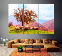 Sheep in Romanian Carpathians Canvas Print ArtLexy 3 Panels 36"x24" inches 