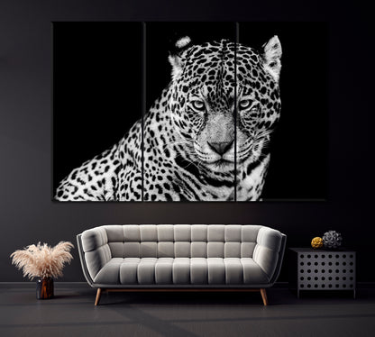 Angry Jaguar in B&W Canvas Print ArtLexy 3 Panels 36"x24" inches 