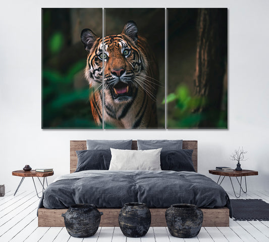 Sumatran Tiger Portrait Canvas Print ArtLexy 3 Panels 36"x24" inches 
