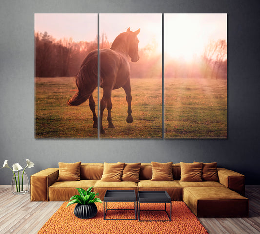 Andalusian Horse in Field Canvas Print ArtLexy 3 Panels 36"x24" inches 