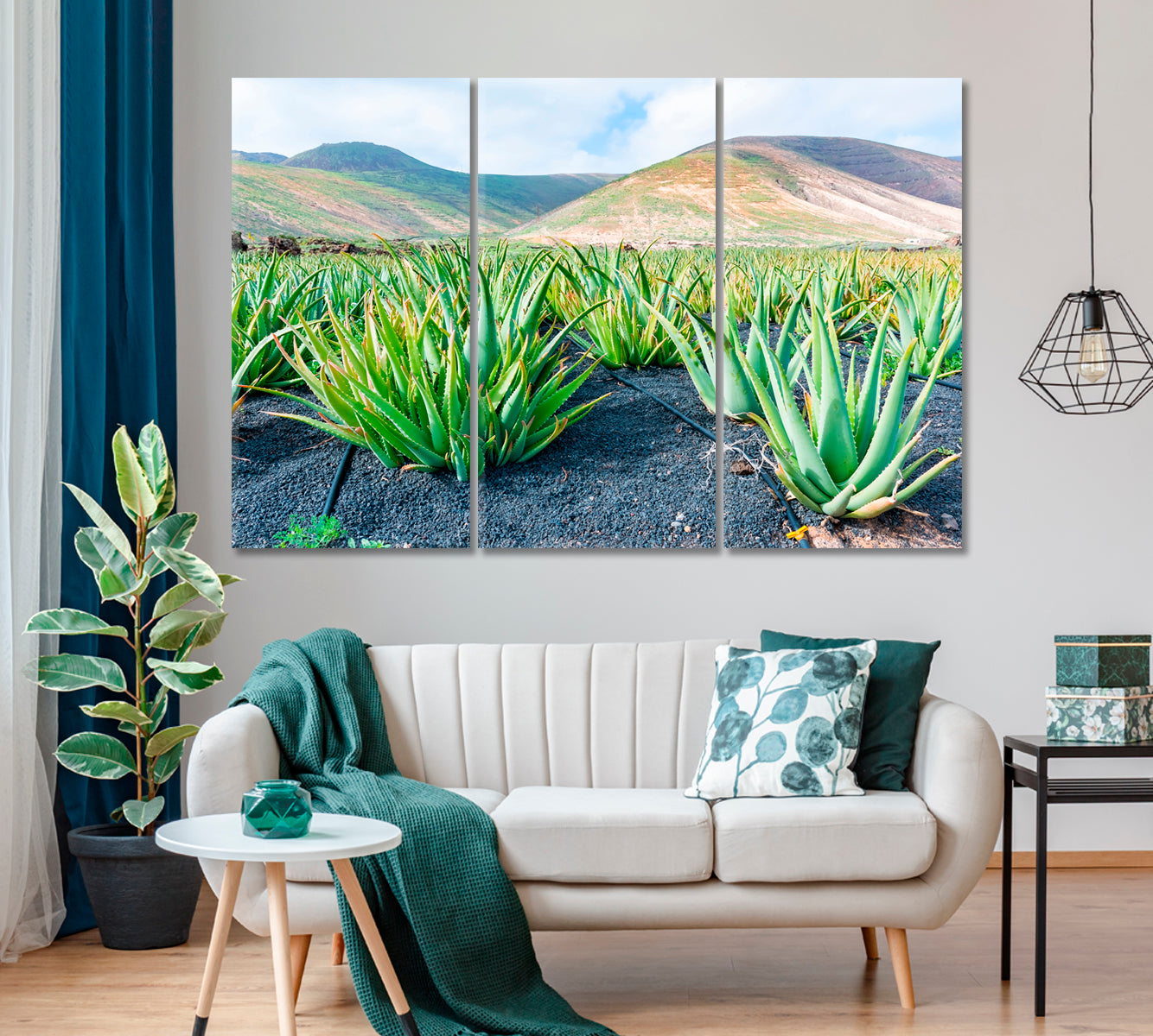 Aloe Vera Plantation in Lanzarote Canary Islands Spain Canvas Print ArtLexy 3 Panels 36"x24" inches 