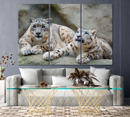 Snow Leopard Couple Canvas Print ArtLexy 3 Panels 36"x24" inches 
