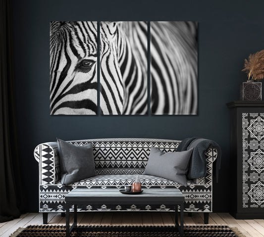 Beautiful Zebra Close Up Canvas Print ArtLexy   