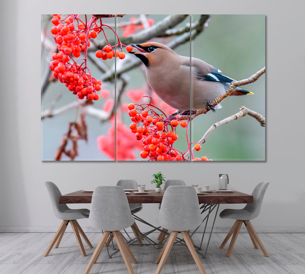 Bohemian Waxwings Bird Eating Rowan Berries Canvas Print ArtLexy 3 Panels 36"x24" inches 