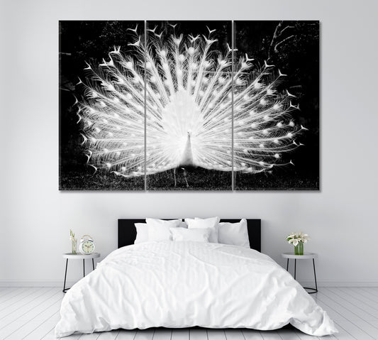 White Peacock in Black and White Canvas Print ArtLexy 3 Panels 36"x24" inches 