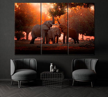 Elephants in Zimbabwe Africa Canvas Print ArtLexy 3 Panels 36"x24" inches 