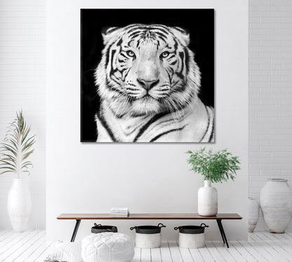 White Bengal Tiger Canvas Print ArtLexy   