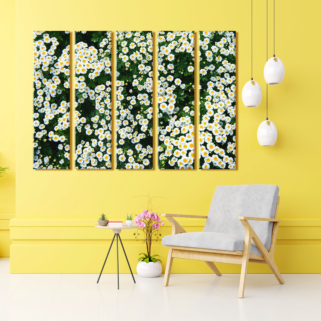 Chamomile Canvas Print ArtLexy 5 Panels 36"x24" inches 
