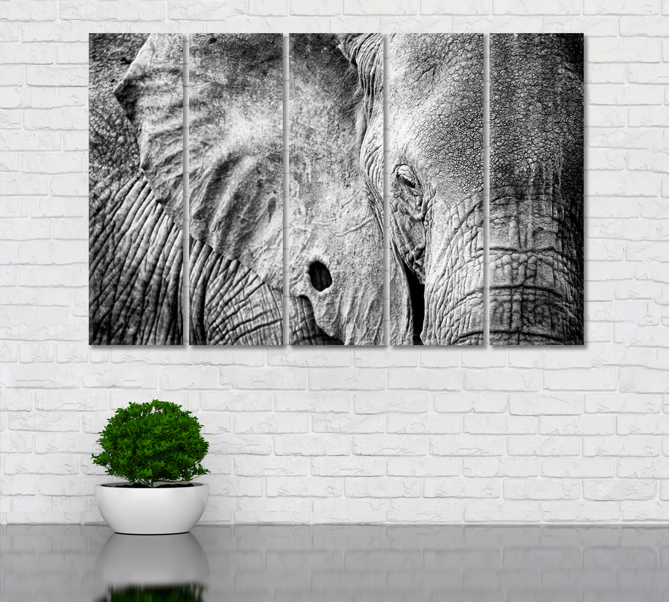 African Elephant in Black and White Canvas Print ArtLexy   