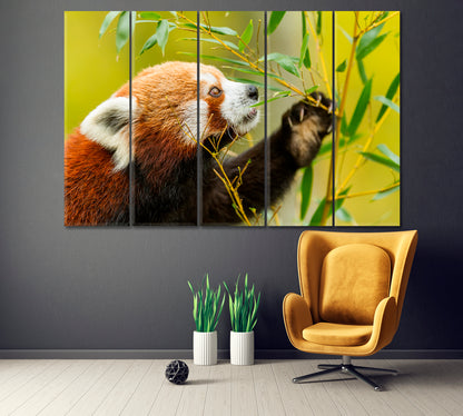Red Panda Bear Canvas Print ArtLexy 5 Panels 36"x24" inches 
