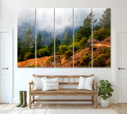 Mount Tamalpais State Park Canvas Print ArtLexy 5 Panels 36"x24" inches 