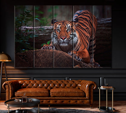 Sumatran Tiger Canvas Print ArtLexy 5 Panels 36"x24" inches 