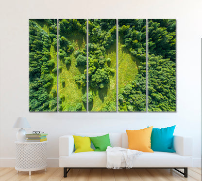Aerial View of Beautiful Forest Canvas Print ArtLexy 5 Panels 36"x24" inches 