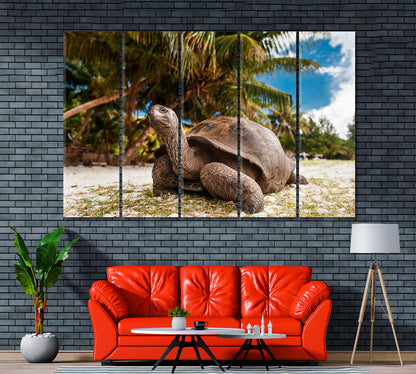 Giant Tortoise on Seychelles Canvas Print ArtLexy 5 Panels 36"x24" inches 