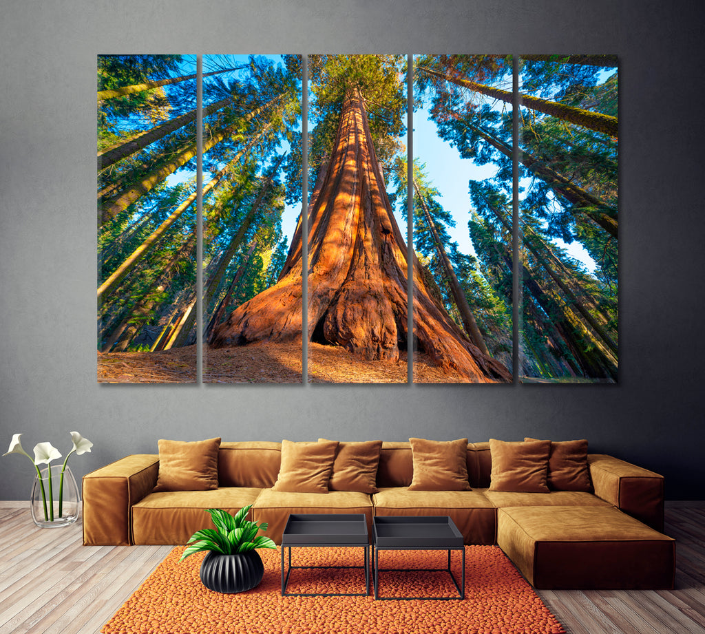 Tree Wall Mural buy in USA - Shop