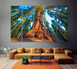 Giant Sequoia Trees in Sequoia National Park USA Canvas Print ArtLexy 5 Panels 36"x24" inches 