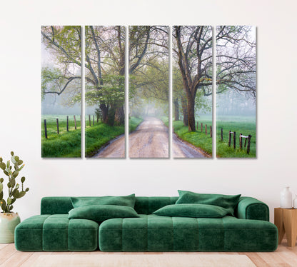 Misty Country Road Canvas Print ArtLexy   