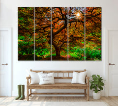 Japanese Maple Tree in Portland Japanese Garden Canvas Print ArtLexy 5 Panels 36"x24" inches 