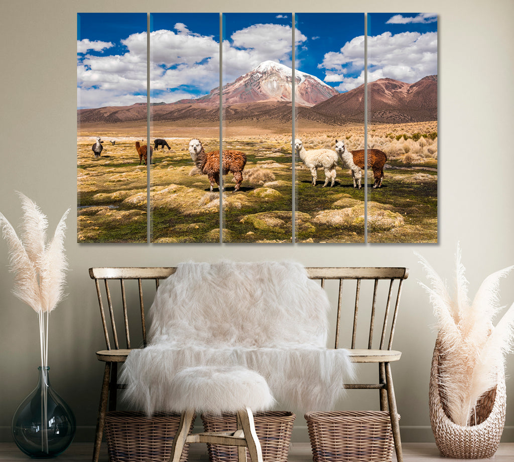 Alpacas and Sajama Volcano Bolivia Canvas Print ArtLexy 5 Panels 36"x24" inches 