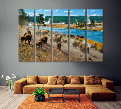 Herd of Bison in Yellowstone National Park Canvas Print ArtLexy   
