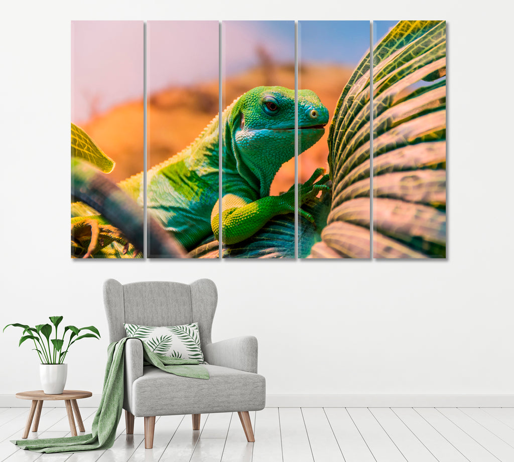 Cute Fiji Banded Iguana Canvas Print ArtLexy 5 Panels 36"x24" inches 