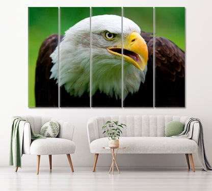 Bald Eagle Portrait Canvas Print ArtLexy 5 Panels 36"x24" inches 