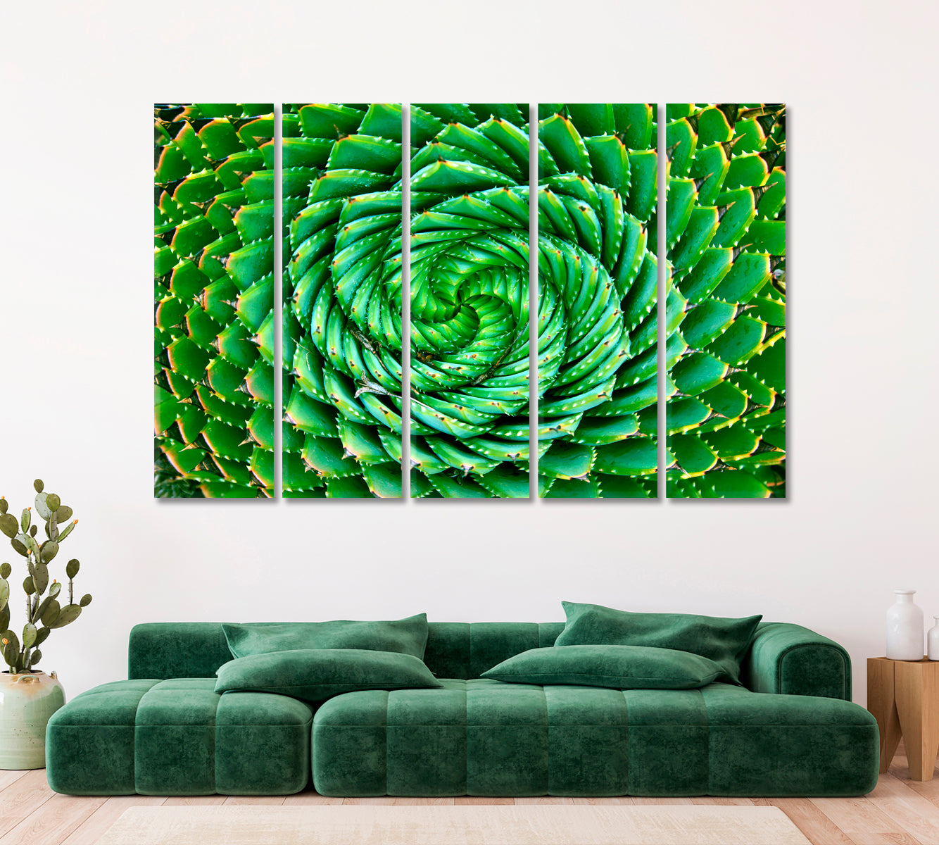 Spiral Aloe Canvas Print ArtLexy   