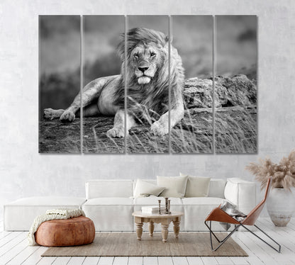 Mighty Lion in African Savanna Kenya Canvas Print ArtLexy 5 Panels 36"x24" inches 