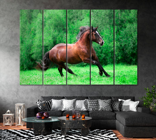 Chestnut Horse Runs Gallop on Summer Field Canvas Print ArtLexy 5 Panels 36"x24" inches 