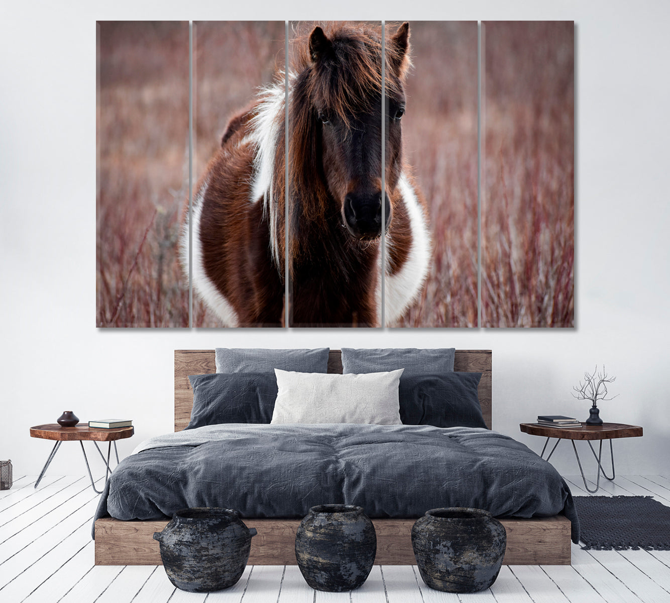 Wild Pony in Grayson Highlands Virginia Canvas Print ArtLexy 5 Panels 36"x24" inches 