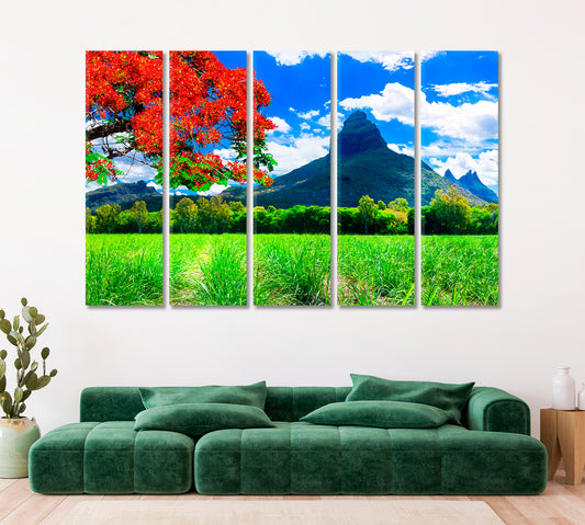 Mauritius Landscapes with Famous Flame Tree Canvas Print ArtLexy   