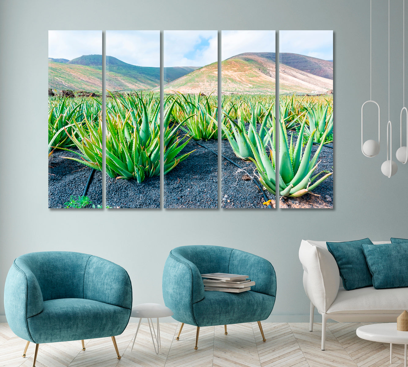 Aloe Vera Plantation in Lanzarote Canary Islands Spain Canvas Print ArtLexy 5 Panels 36"x24" inches 