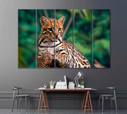 Ocelot Leopardus Pardalis Canvas Print ArtLexy 5 Panels 36"x24" inches 